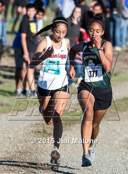 Thumbnail 2 in MVAL Cross Country Finals (CIF NCS) photogallery.
