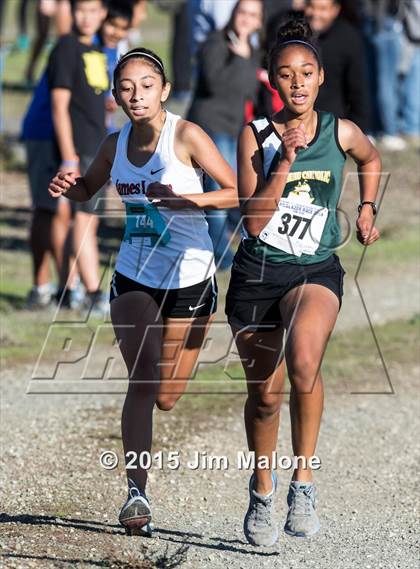 Thumbnail 1 in MVAL Cross Country Finals (CIF NCS) photogallery.