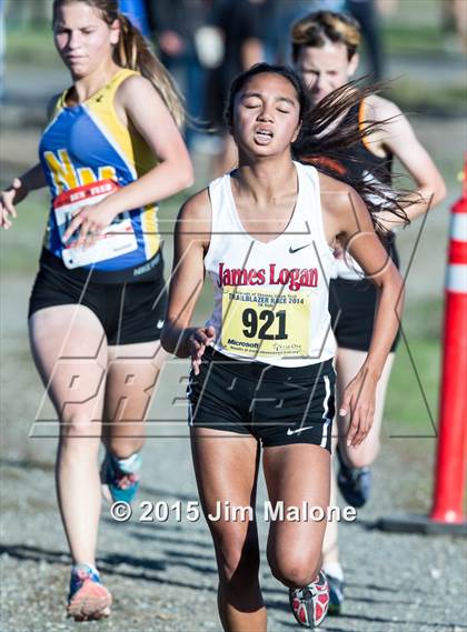 Thumbnail 3 in MVAL Cross Country Finals (CIF NCS) photogallery.
