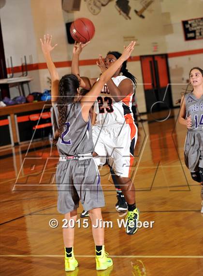 Thumbnail 1 in River Ridge @ Zephyrhills photogallery.