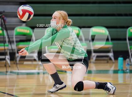 Thumbnail 1 in Carlin @ Eureka photogallery.