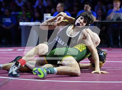 Thumbnail 3 in UIL 5A Championship Finals 106-144lb photogallery.