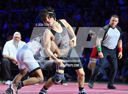 Thumbnail 1 in UIL 5A Championship Finals 106-144lb photogallery.
