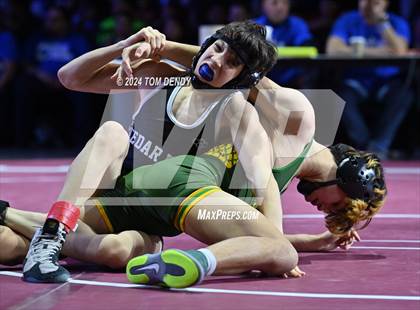 Thumbnail 1 in UIL 5A Championship Finals 106-144lb photogallery.
