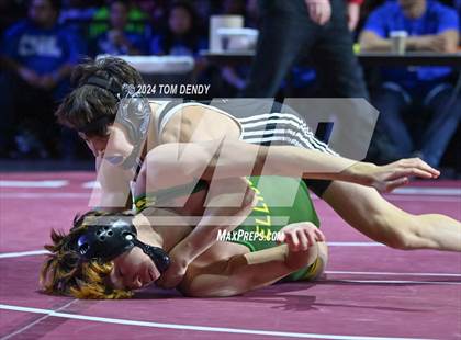 Thumbnail 1 in UIL 5A Championship Finals 106-144lb photogallery.