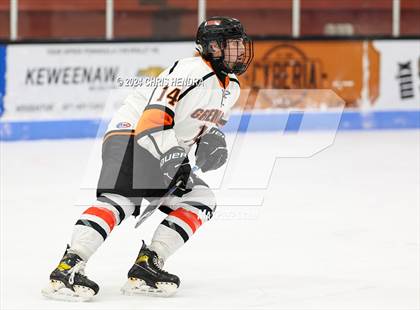 Thumbnail 3 in Brother Rice @ Houghton photogallery.