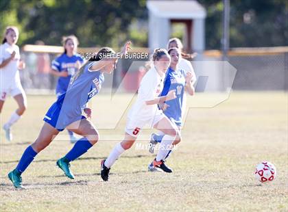 Thumbnail 3 in Danbury @ Warde photogallery.