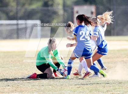 Thumbnail 1 in Danbury @ Warde photogallery.
