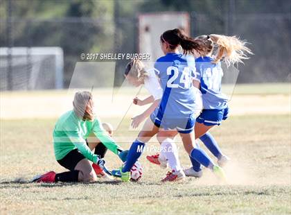Thumbnail 3 in Danbury @ Warde photogallery.