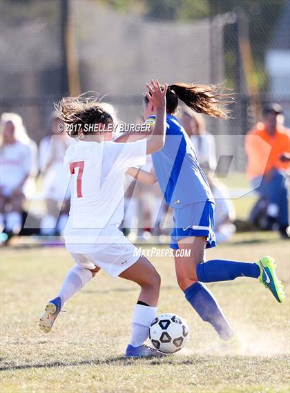 Thumbnail 3 in Danbury @ Warde photogallery.