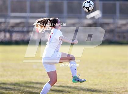 Thumbnail 3 in Danbury @ Warde photogallery.