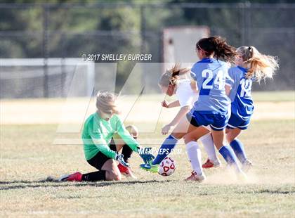 Thumbnail 3 in Danbury @ Warde photogallery.