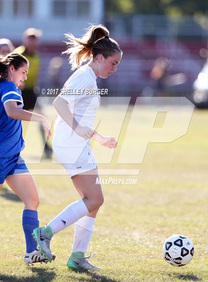 Thumbnail 1 in Danbury @ Warde photogallery.