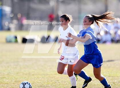 Thumbnail 2 in Danbury @ Warde photogallery.