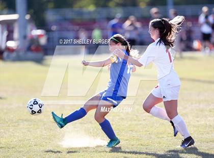 Thumbnail 1 in Danbury @ Warde photogallery.