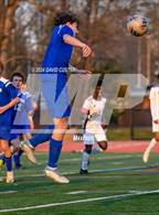 Photo from the gallery "Oakton @ Robinson"