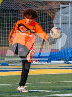 Photo from the gallery "Oakton @ Robinson"