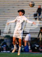 Photo from the gallery "Oakton @ Robinson"