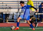 Photo from the gallery "Oakton @ Robinson"
