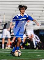Photo from the gallery "Oakton @ Robinson"