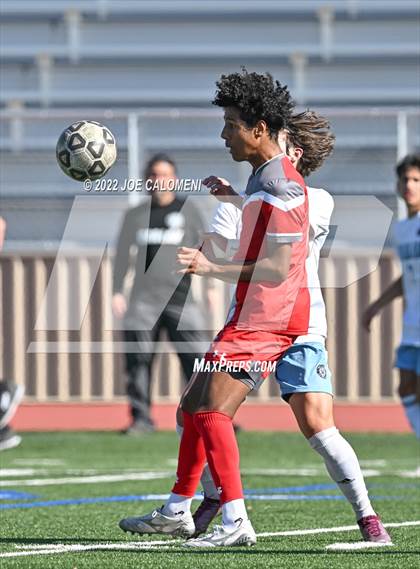 Thumbnail 2 in Lee vs Harlan photogallery.