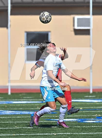 Thumbnail 3 in Lee vs Harlan photogallery.