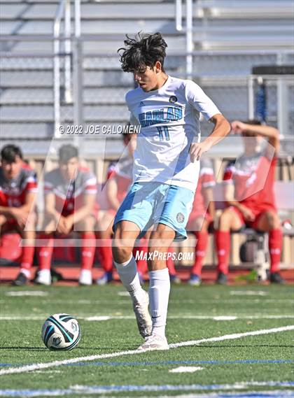 Thumbnail 1 in Lee vs Harlan photogallery.