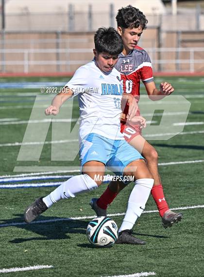 Thumbnail 3 in Lee vs Harlan photogallery.