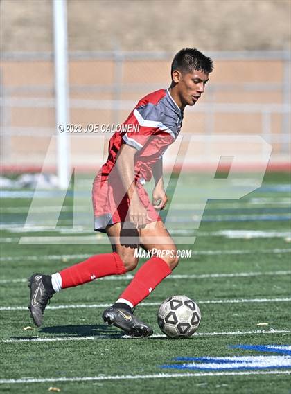 Thumbnail 1 in Lee vs Harlan photogallery.