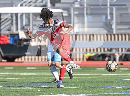 Thumbnail 3 in Lee vs Harlan photogallery.