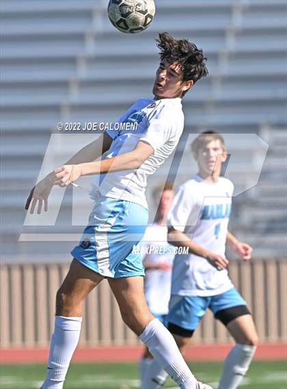 Thumbnail 3 in Lee vs Harlan photogallery.