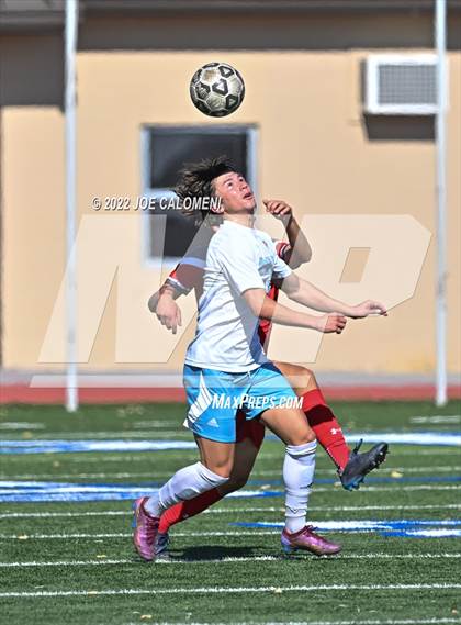 Thumbnail 1 in Lee vs Harlan photogallery.