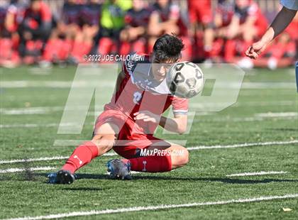 Thumbnail 3 in Lee vs Harlan photogallery.