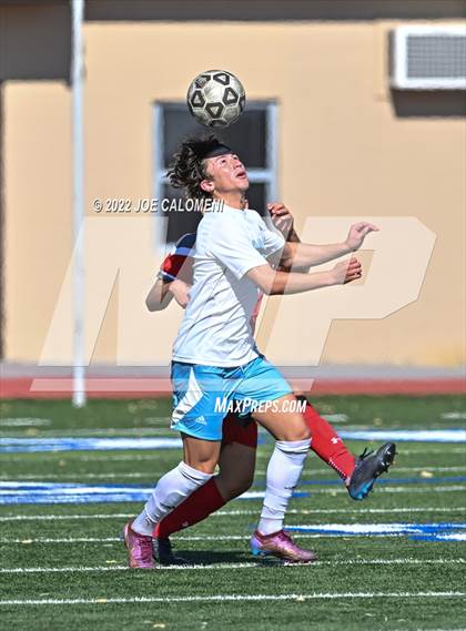 Thumbnail 3 in Lee vs Harlan photogallery.