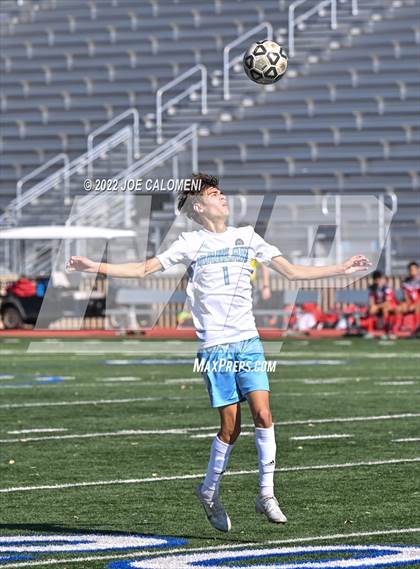 Thumbnail 1 in Lee vs Harlan photogallery.