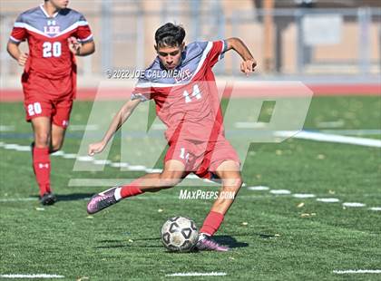 Thumbnail 3 in Lee vs Harlan photogallery.