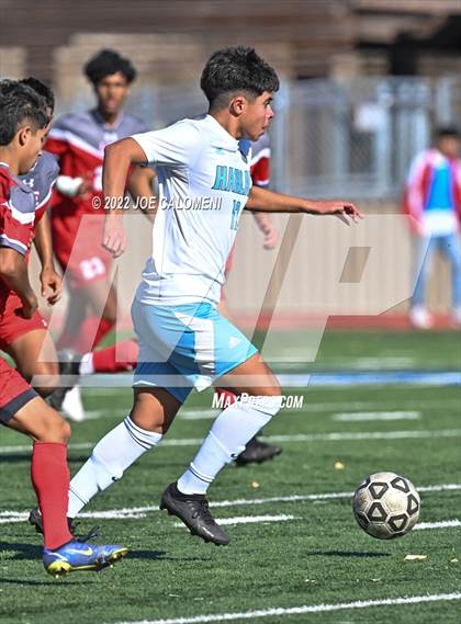 Thumbnail 2 in Lee vs Harlan photogallery.