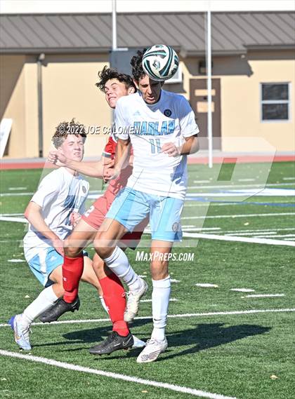 Thumbnail 3 in Lee vs Harlan photogallery.