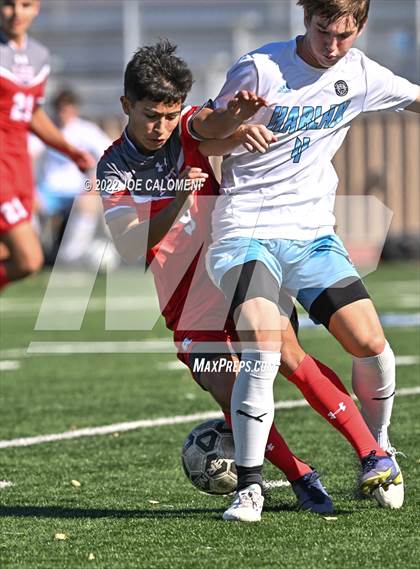 Thumbnail 3 in Lee vs Harlan photogallery.