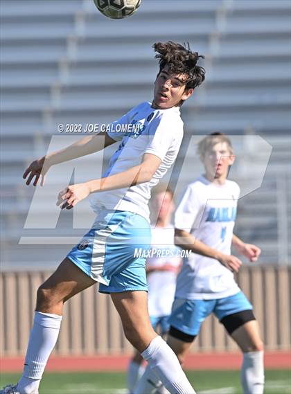 Thumbnail 2 in Lee vs Harlan photogallery.