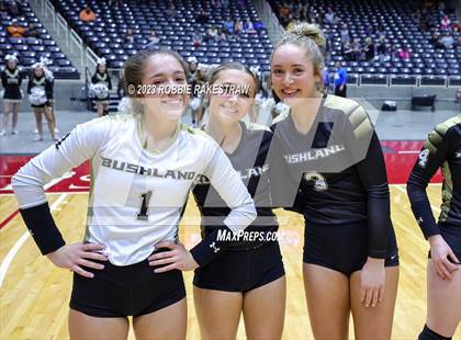 Thumbnail 1 in Gunter vs. Bushland (UIL 3A Volleyball Final Medal Ceremony) photogallery.