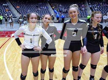 Thumbnail 2 in Gunter vs. Bushland (UIL 3A Volleyball Final Medal Ceremony) photogallery.