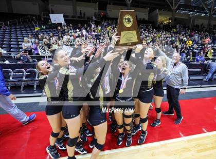 Thumbnail 2 in Gunter vs. Bushland (UIL 3A Volleyball Final Medal Ceremony) photogallery.