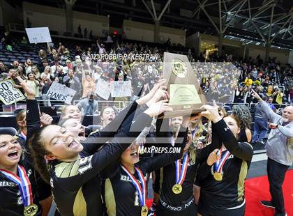 Thumbnail 1 in Gunter vs. Bushland (UIL 3A Volleyball Final Medal Ceremony) photogallery.