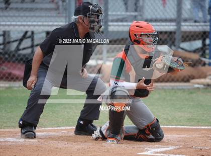 Thumbnail 1 in Pioneer vs. Harlingen South (UIL Baseball Bi-District 5A D2) photogallery.