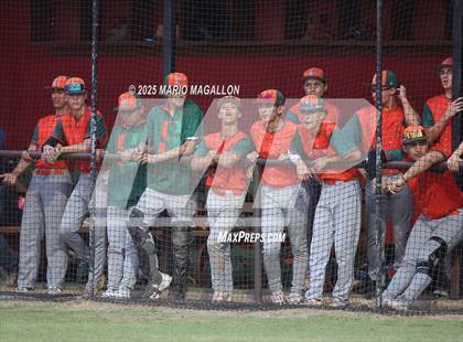 Thumbnail 1 in Pioneer vs. Harlingen South (UIL Baseball Bi-District 5A D2) photogallery.