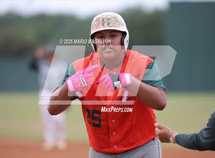 Thumbnail 3 in Pioneer vs. Harlingen South (UIL Baseball Bi-District 5A D2) photogallery.