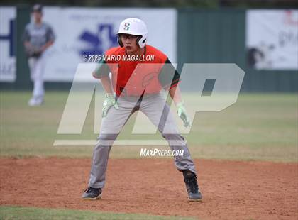 Thumbnail 1 in Pioneer vs. Harlingen South (UIL Baseball Bi-District 5A D2) photogallery.
