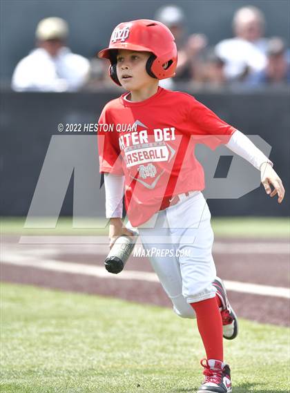 Thumbnail 1 in Mater Dei @ Servite photogallery.