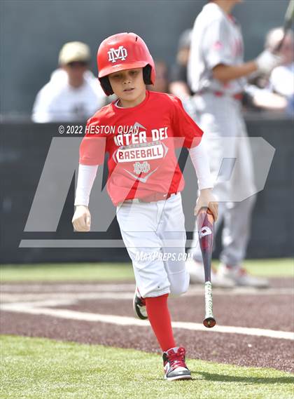 Thumbnail 2 in Mater Dei @ Servite photogallery.